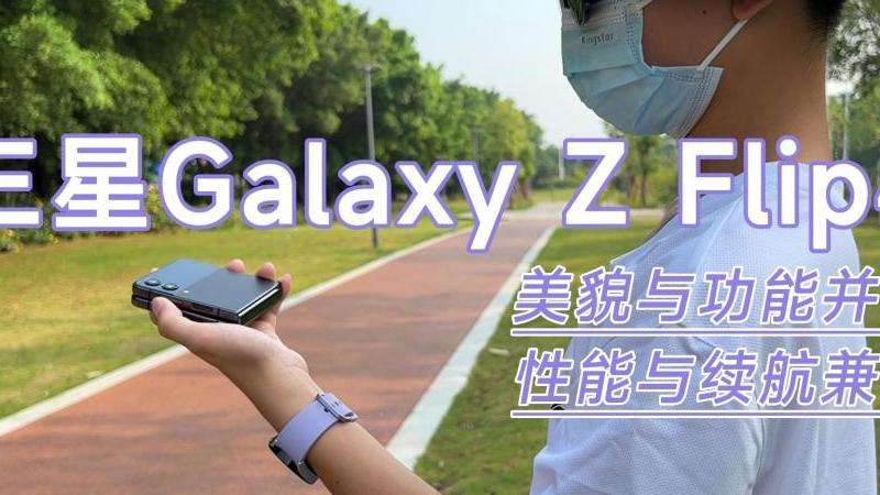 WhatsApp大全：使用指南与功能介绍