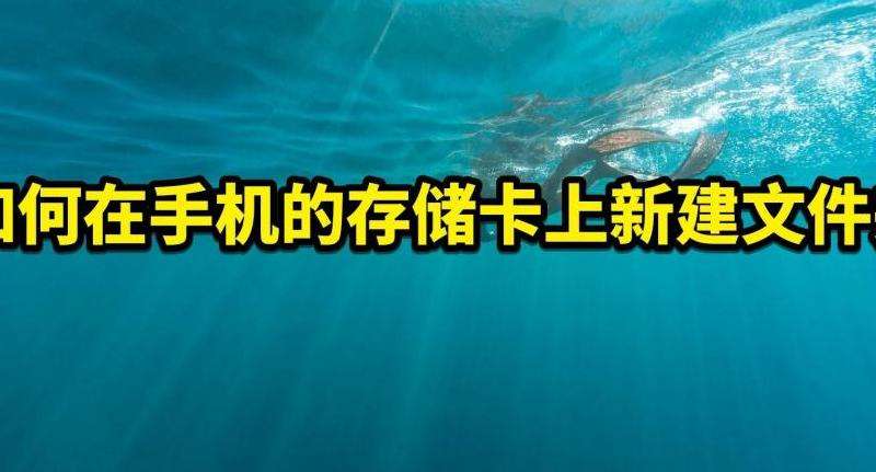 WhatsApp在手机上如何登录？