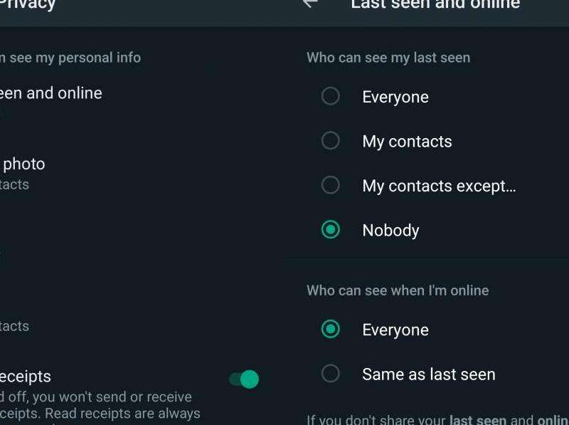 WhatsApp在线状态如何设置？