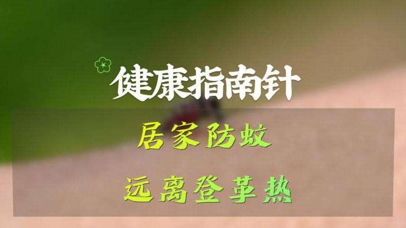 WhatsApp地址填写指南