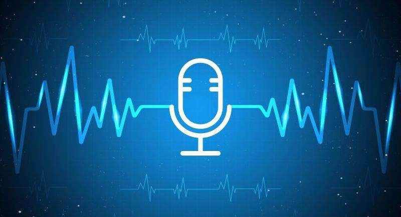 WhatsApp多人语音聊天教程